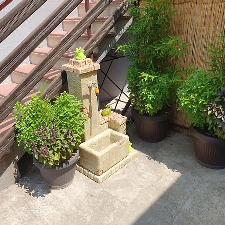 Apartman Djokic 2 Pozarevac Exterior photo