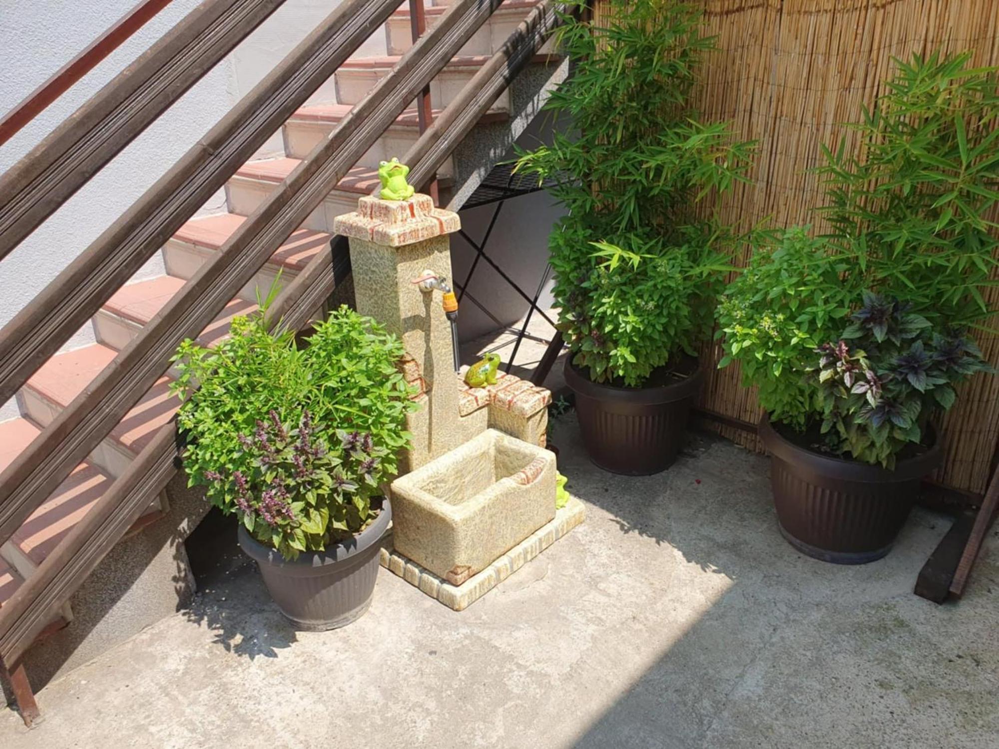 Apartman Djokic 2 Pozarevac Exterior photo